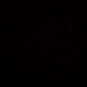 Meet your Posher, Ellie